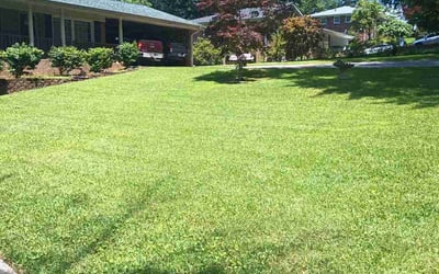 Photo of Salvador M.'s yard after getting lawn care in Germantown, MD