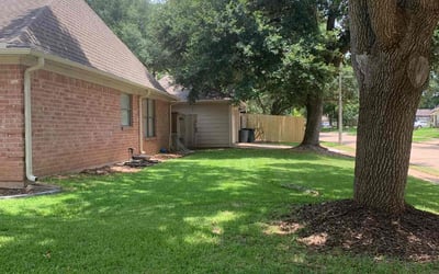 Photo of Tameesha J.'s yard after getting lawn care in Tenafly, NJ