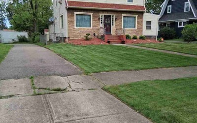 Photo of Anais R.'s yard after getting lawn care in Cortland, OH