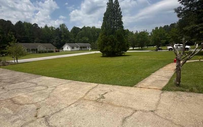 Photo of James M.'s yard after getting lawn care in West Orange, NJ