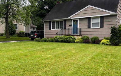 Photo of Courtisa S.'s yard after getting lawn care in Randolph, NJ