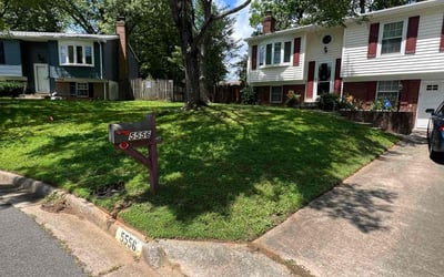 Photo of Ashley A.'s yard after getting lawn care in Ypsilanti, MI