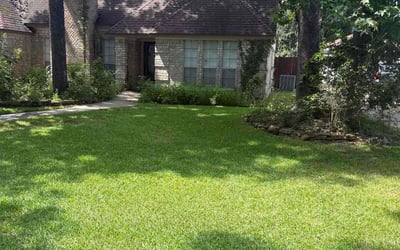 Photo of Holly B.'s yard after getting lawn care in Plainfield, IN