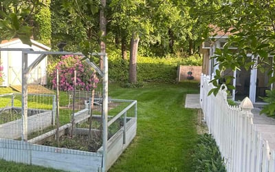 Photo of Michael L.'s yard after getting lawn care in Fredericksburg, VA