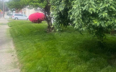 Photo of Danna N.'s yard after getting lawn care in Ansonia, CT