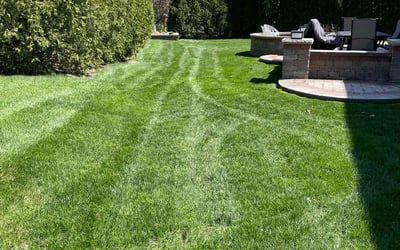 Photo of James E.'s yard after getting lawn care in Roselle, IL