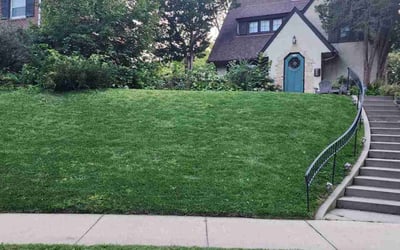 Photo of Samantha C.'s yard after getting lawn care in Andover, MN