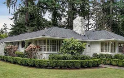 Photo of Mike G.'s yard after getting lawn care in Burien, WA