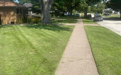 Photo of Kris C.'s yard after getting lawn care in Davenport, IA