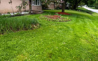 Photo of Evelyn W.'s yard after getting lawn care in Lake Zurich, IL