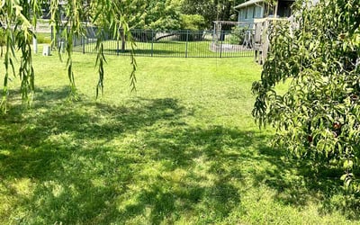Photo of Gina M.'s yard after getting lawn care in Haysville, KS