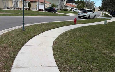 Photo of Terrence O.'s yard after getting lawn care in San Jacinto, CA