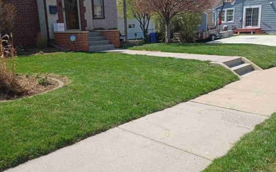 Photo of Hurshel B.'s yard after getting lawn care in Princeton, MN