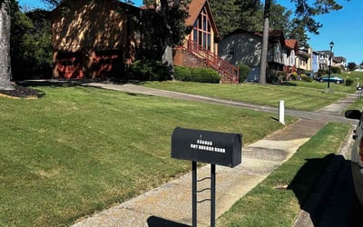 Photo of Michael C.'s yard after getting lawn care in Belleville, NJ