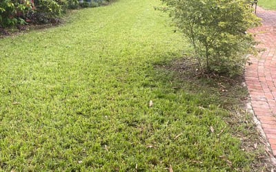 Photo of Barbie C.'s yard after getting lawn care in Opa Locka, FL