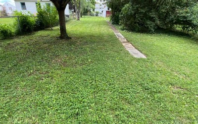 Photo of Bernard F.'s yard after getting lawn care in Beckley, WV