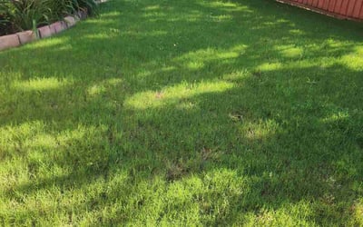 Photo of Andrews C.'s yard after getting lawn care in Sussex, NJ