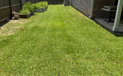 Photo of Randy M.'s yard after getting lawn care in Farmington, MN