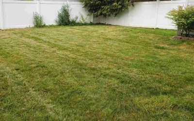 Photo of Kelsey M.'s yard after getting lawn care in Somerville, NJ