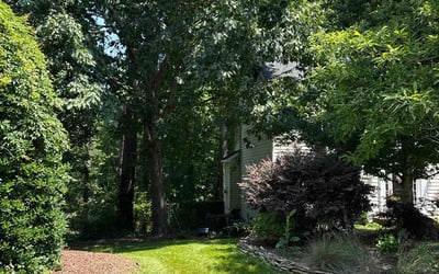 Photo of Gad O.'s yard after getting lawn care in Burnsville, MN