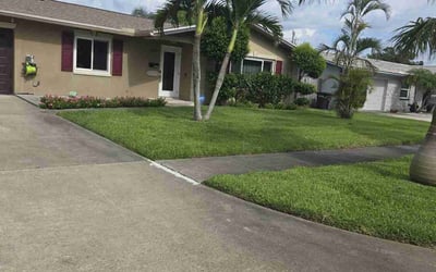 Photo of Peter L.'s yard after getting lawn care in Clearwater, FL