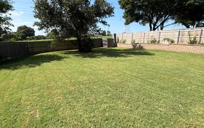 Photo of Joycelyn R.'s yard after getting lawn care in Southaven, MS