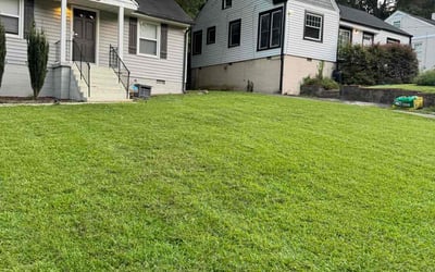 Photo of Latrisha M.'s yard after getting lawn care in East Point, GA