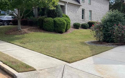 Photo of Inais H.'s yard after getting lawn care in Smyrna, GA