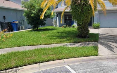 Photo of Amanda R.'s yard after getting lawn care in Banning, CA