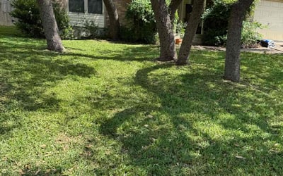 Photo of Paul B.'s yard after getting lawn care in Van Buren, AR