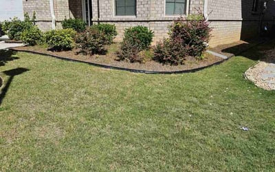 Photo of Charlene D.'s yard after getting lawn care in Pearland, TX