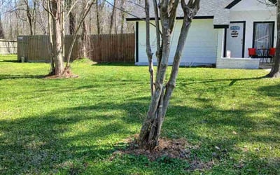 Photo of Mary R.'s yard after getting lawn care in Newburyport, MA