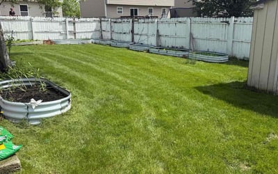 Photo of Phyllis C.'s yard after getting lawn care in Suitland, MD