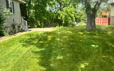 Photo of Summer J.'s yard after getting lawn care in Monroeville, PA