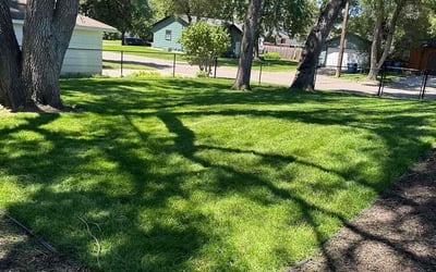 Photo of Matthew T.'s yard after getting lawn care in Pickerington, OH