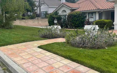 Photo of Billie W.'s yard after getting lawn care in Yucaipa, CA