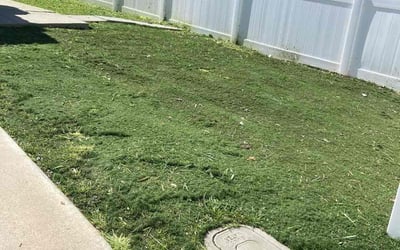 Photo of Allen S.'s yard after getting lawn care in Perris, CA