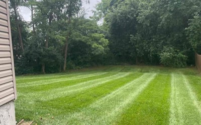 Photo of Amber B.'s yard after getting lawn care in Shelbyville, KY