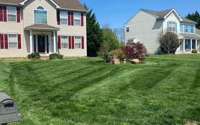 Photo of Yardleyn C.'s yard after getting lawn care in New Castle, DE