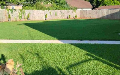 Photo of Christina G.'s yard after getting lawn care in Florence, KY