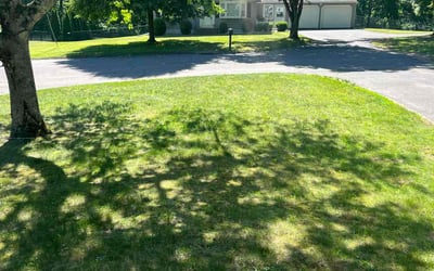 Photo of Von J.'s yard after getting lawn care in Windsor Locks, CT