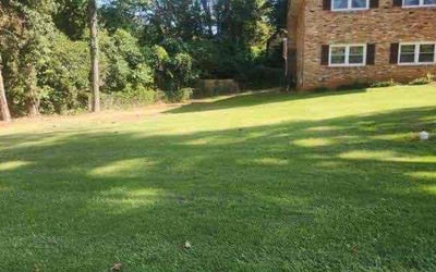 Photo of Carol V.'s yard after getting lawn care in Stone Mountain, GA