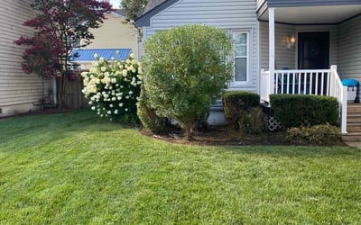 Photo of Karen W.'s yard after getting lawn care in Scituate, MA