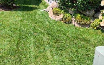 Photo of Charles T.'s yard after getting lawn care in Verona, WI