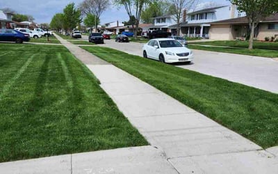 Photo of Aaron K.'s yard after getting lawn care in Clawson, MI