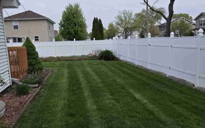 Photo of Miykael G.'s yard after getting lawn care in Brookfield, IL