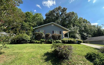 Photo of Dave A.'s yard after getting lawn care in Austin, TX