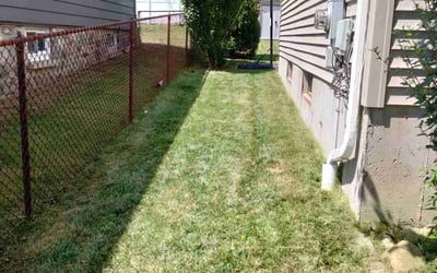 Photo of Sheri j.'s yard after getting lawn care in Guilford, CT