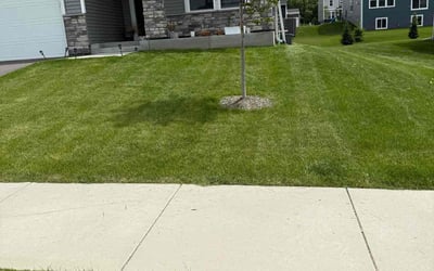 Photo of James J.'s yard after getting lawn care in Fairfax Station, VA