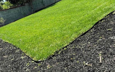 Photo of Darnell M.'s yard after getting lawn care in Torrance, CA